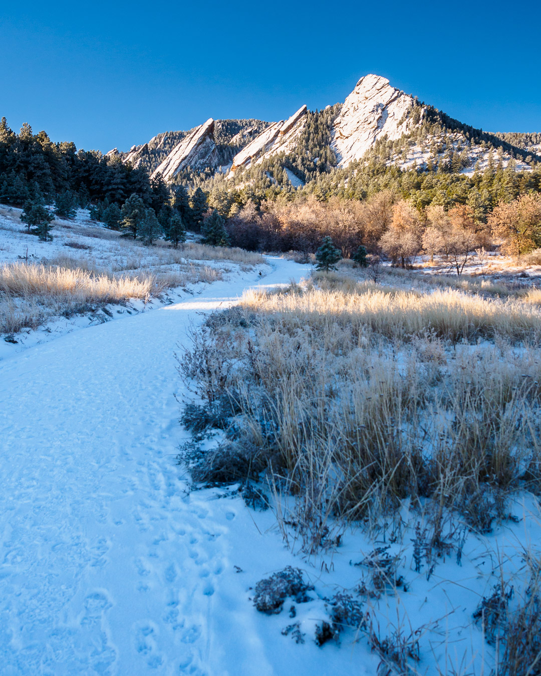 Shadow of the hill covers the trail as the flatirons loom