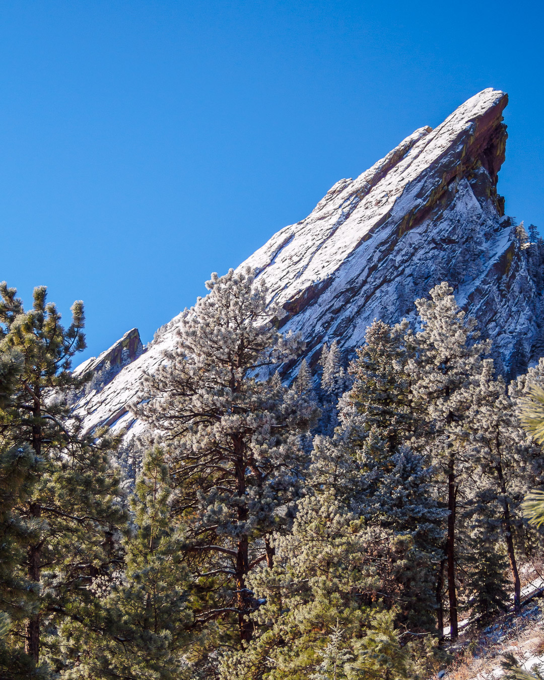 Flatiron 2 profile