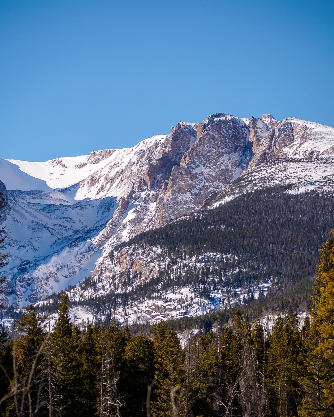 Shadows and trees create shapes on a mountainside